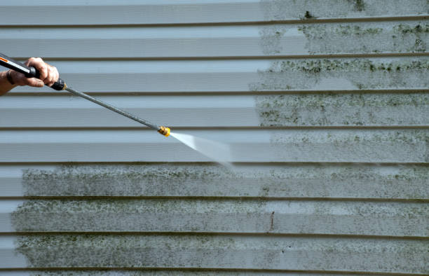 Best Deck Cleaning Services  in Meadow Lake, NM